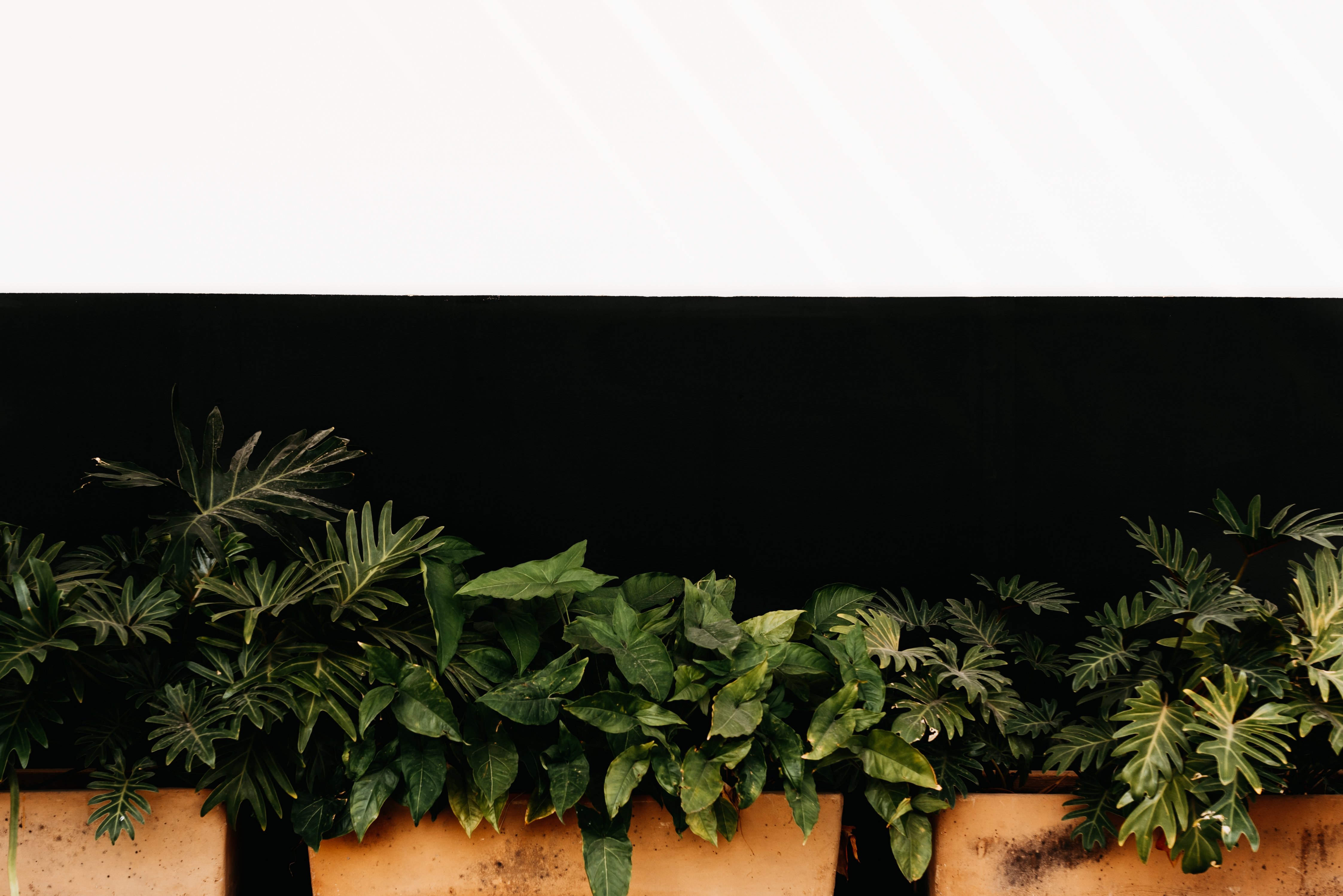 Column: Here’s the Case for Growing Community Through Civic Engagement — Photo by Bruno Cervera on Pexels