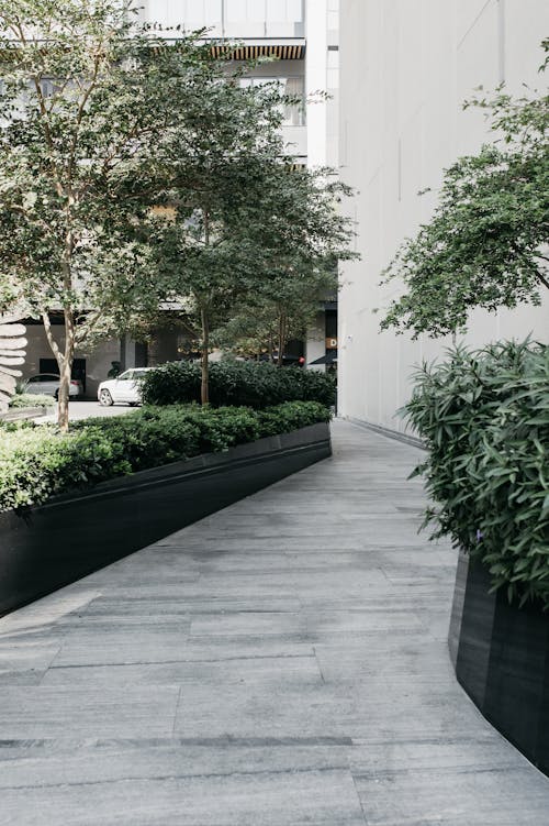 Free Paved pathway between green plants and trees in yard of modern residential building Stock Photo