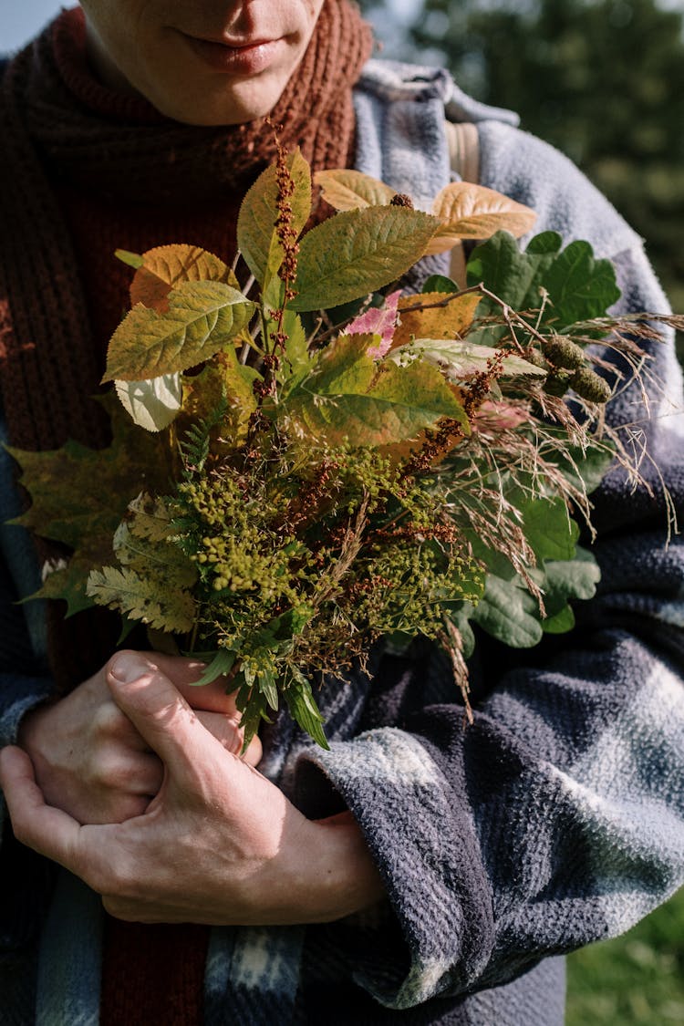 Person Holding Plants