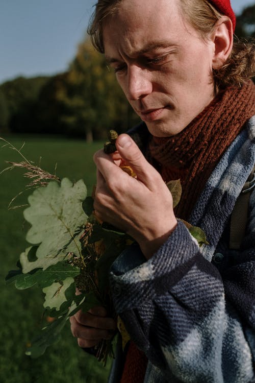 Kostnadsfri bild av botaniker, ek, flora