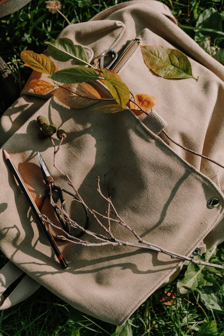 Leaves And Twigs On A Canvas Bag