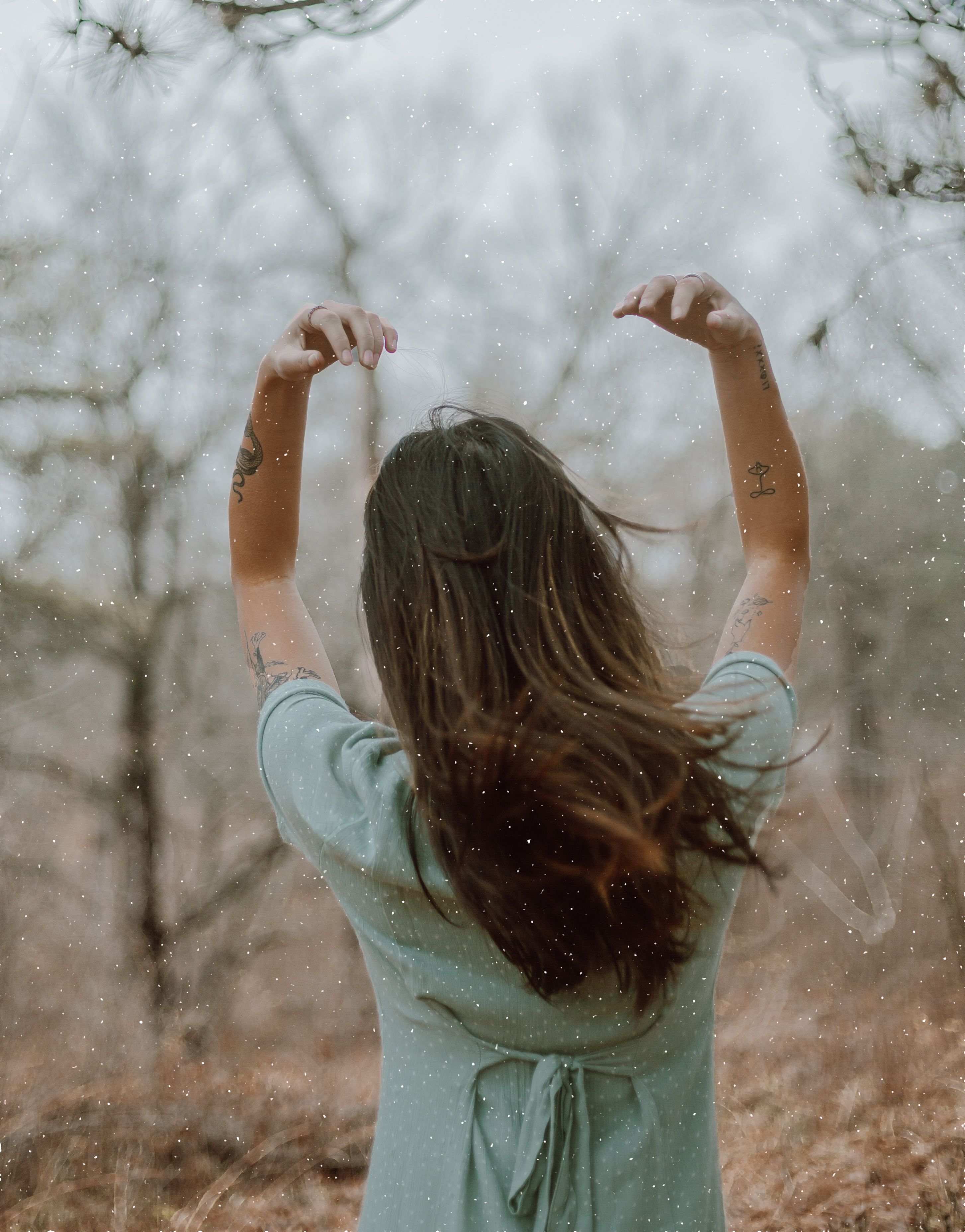 Back View of a Tattooed Woman Raising Her Hands · Free Stock Photo