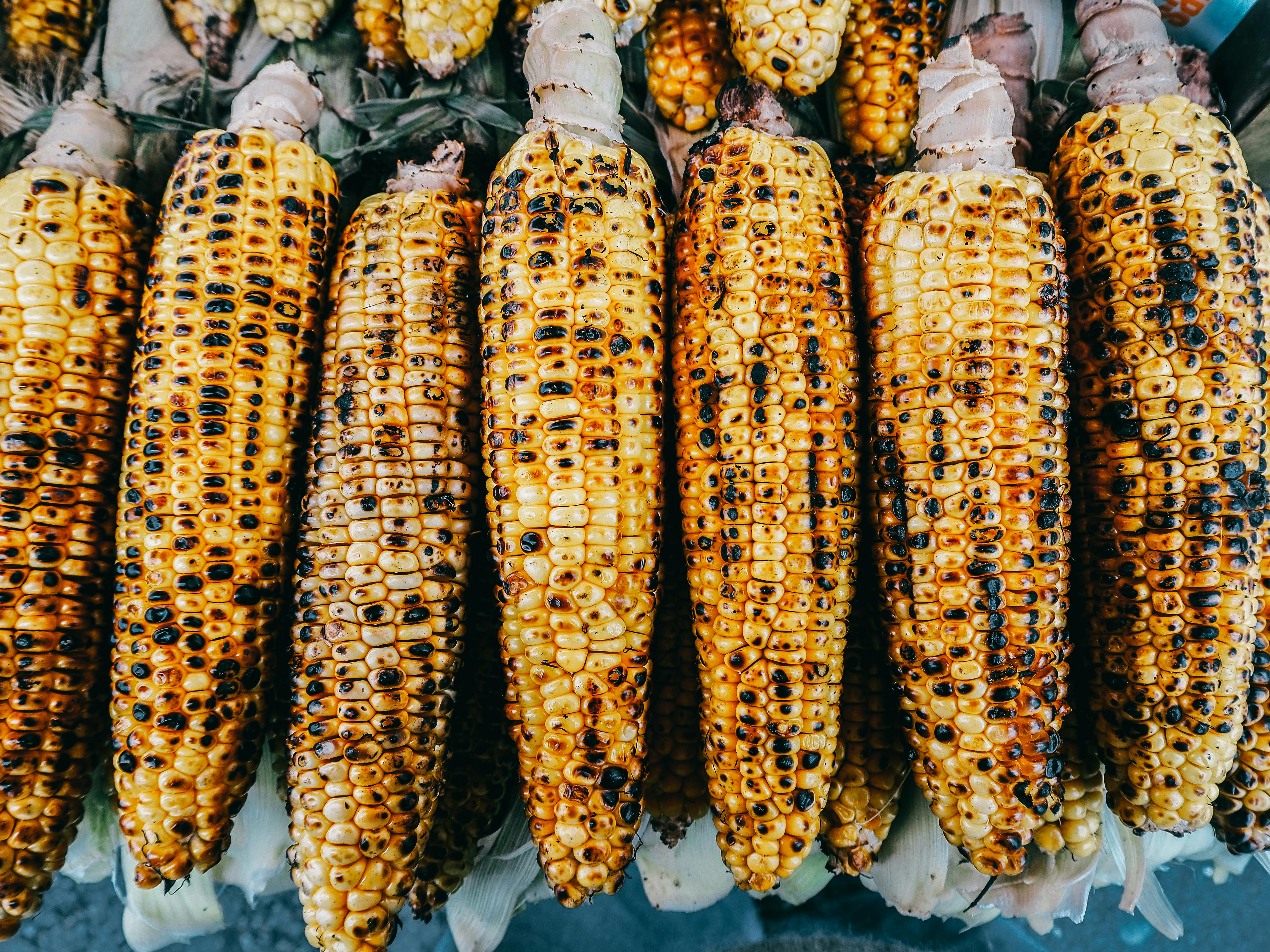 Delicious Grilled Corn in Close-Up Photography · Free Stock Photo