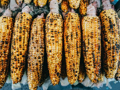 Free Delicious grilled corn on display, capturing the vibrant street food scene in Istanbul. Stock Photo