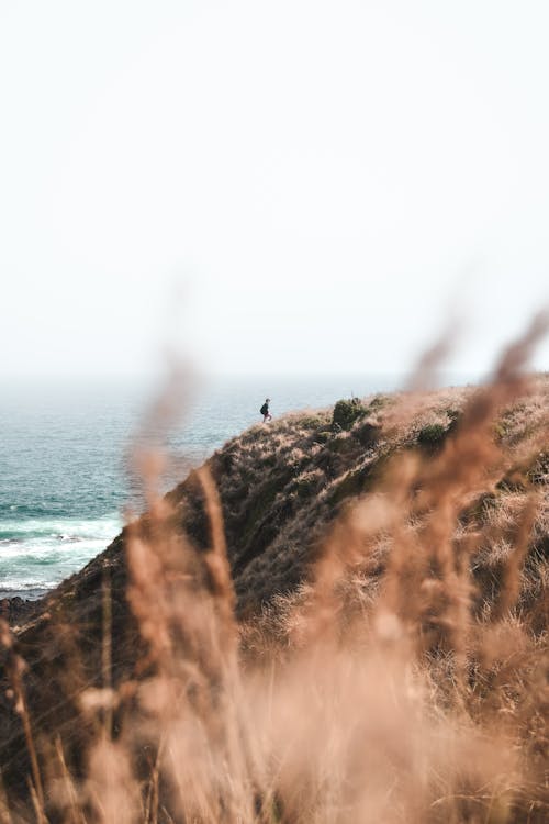 A Person Standing on Mountain Near Body of Water