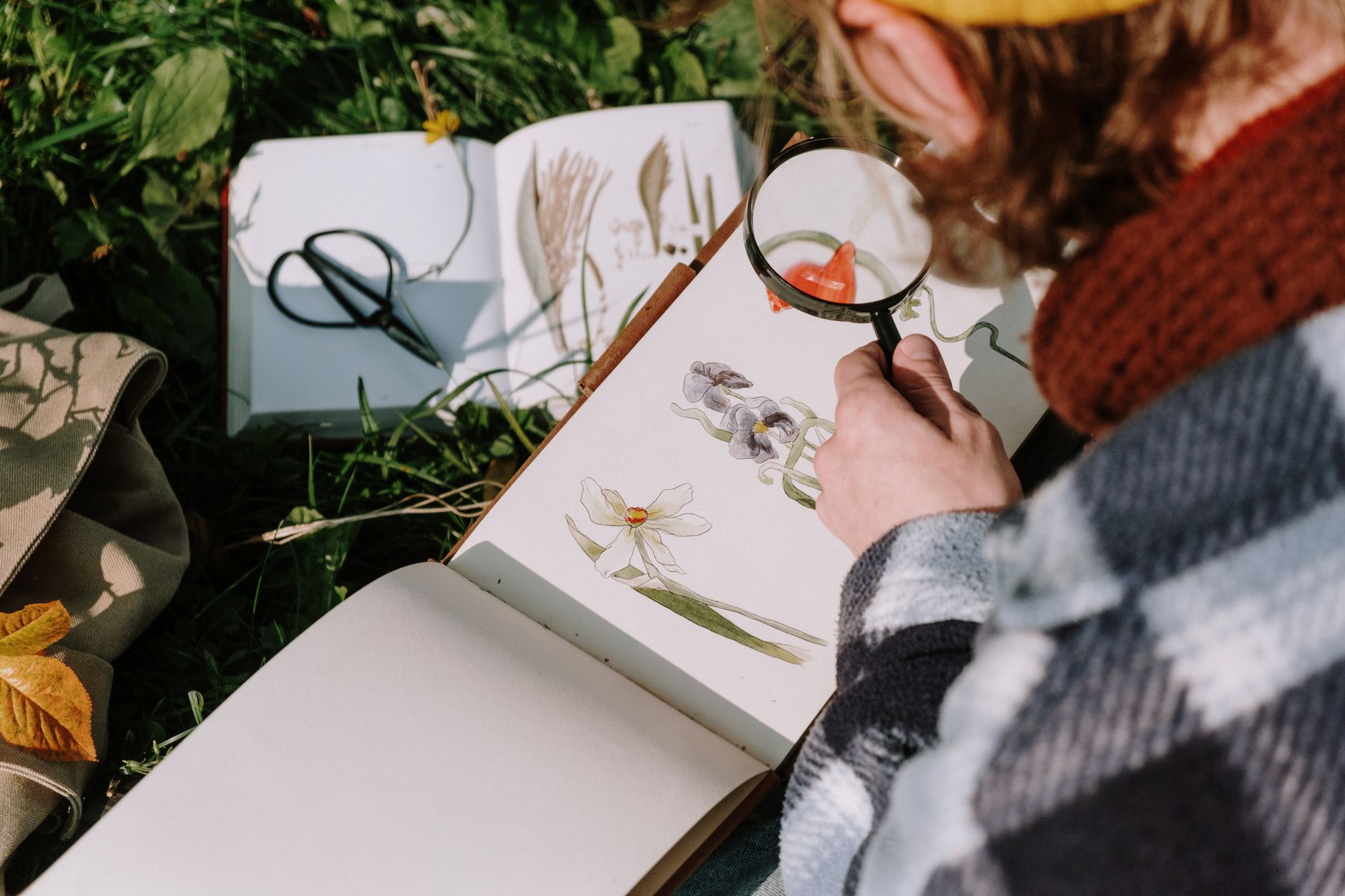 Person examining plant illustrations in a book with a magnifying glass outdoors.
