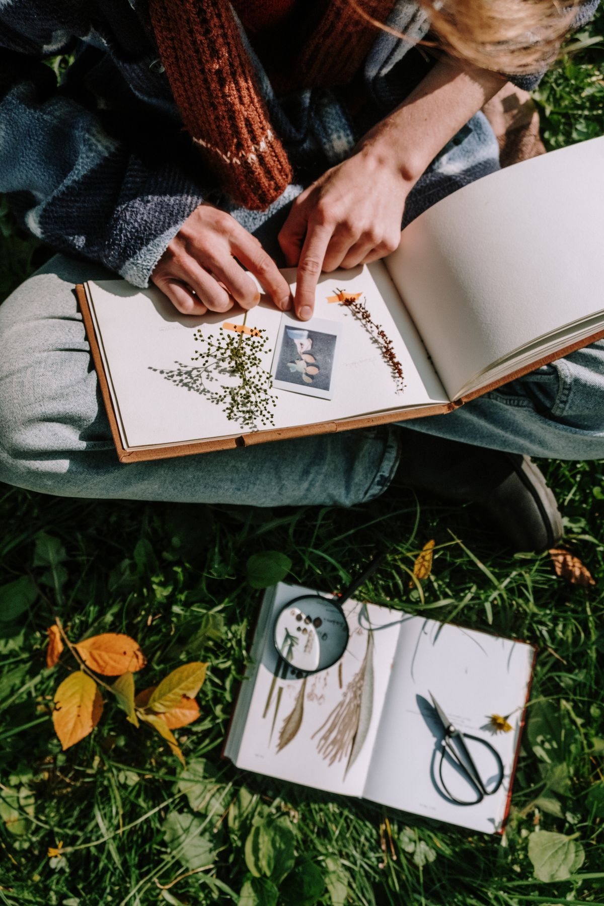 Person creating a scrapbook with photographs and natural materials