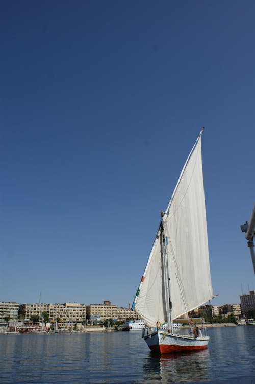 White Sail Boat on Sea Under a Blue Sky