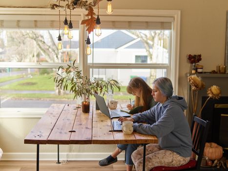 Two women working at a wooden dining table with laptops and notebooks in a sunlit room.