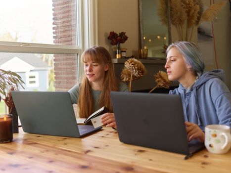 Two young women working together at a wooden table using laptops. Cozy indoor setting.