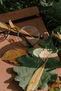 Black Framed Eyeglasses on Brown Dried Leaf