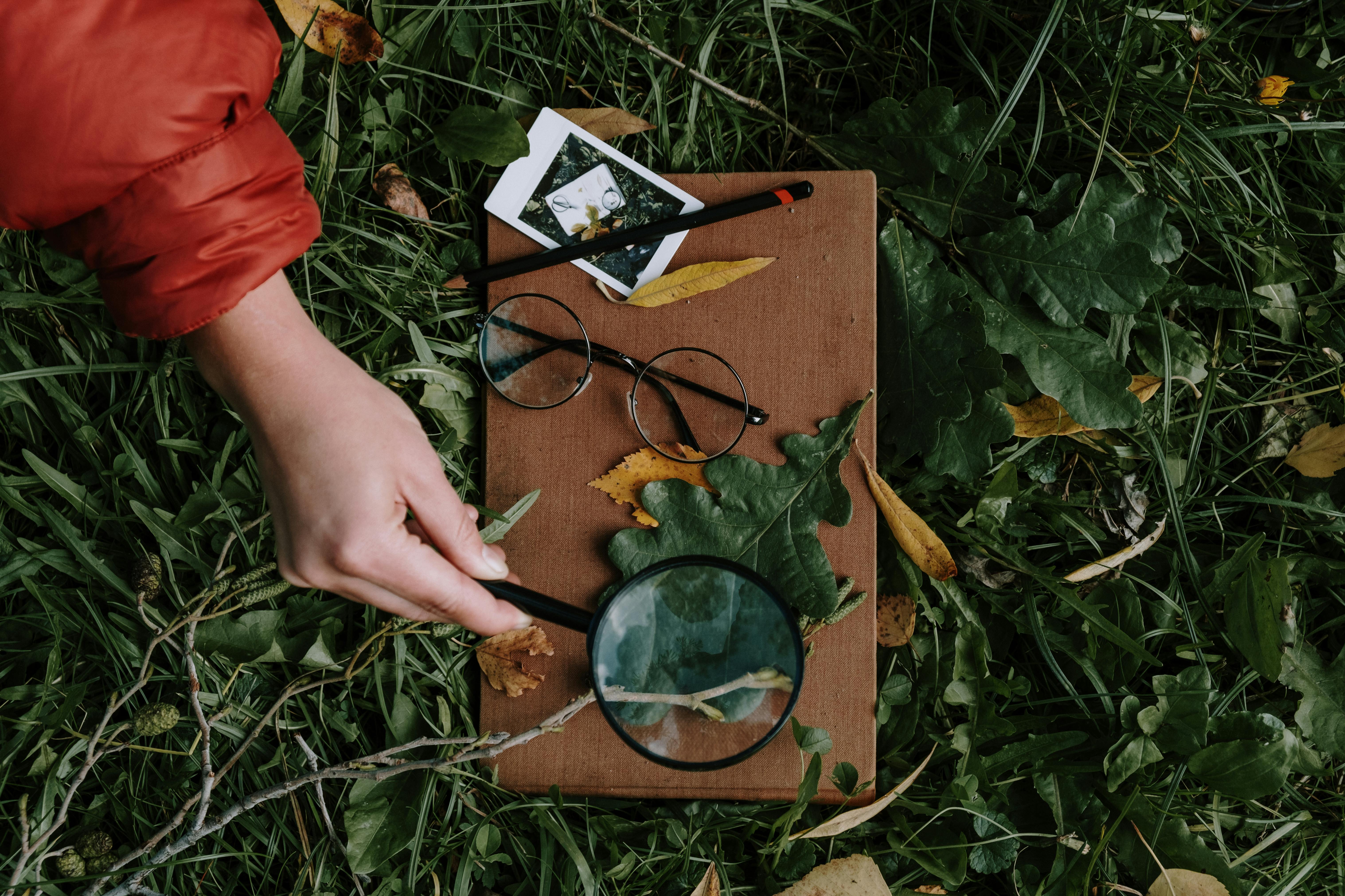 person examining a THCa flower bud with a magnifying glass - Organic THCa flower