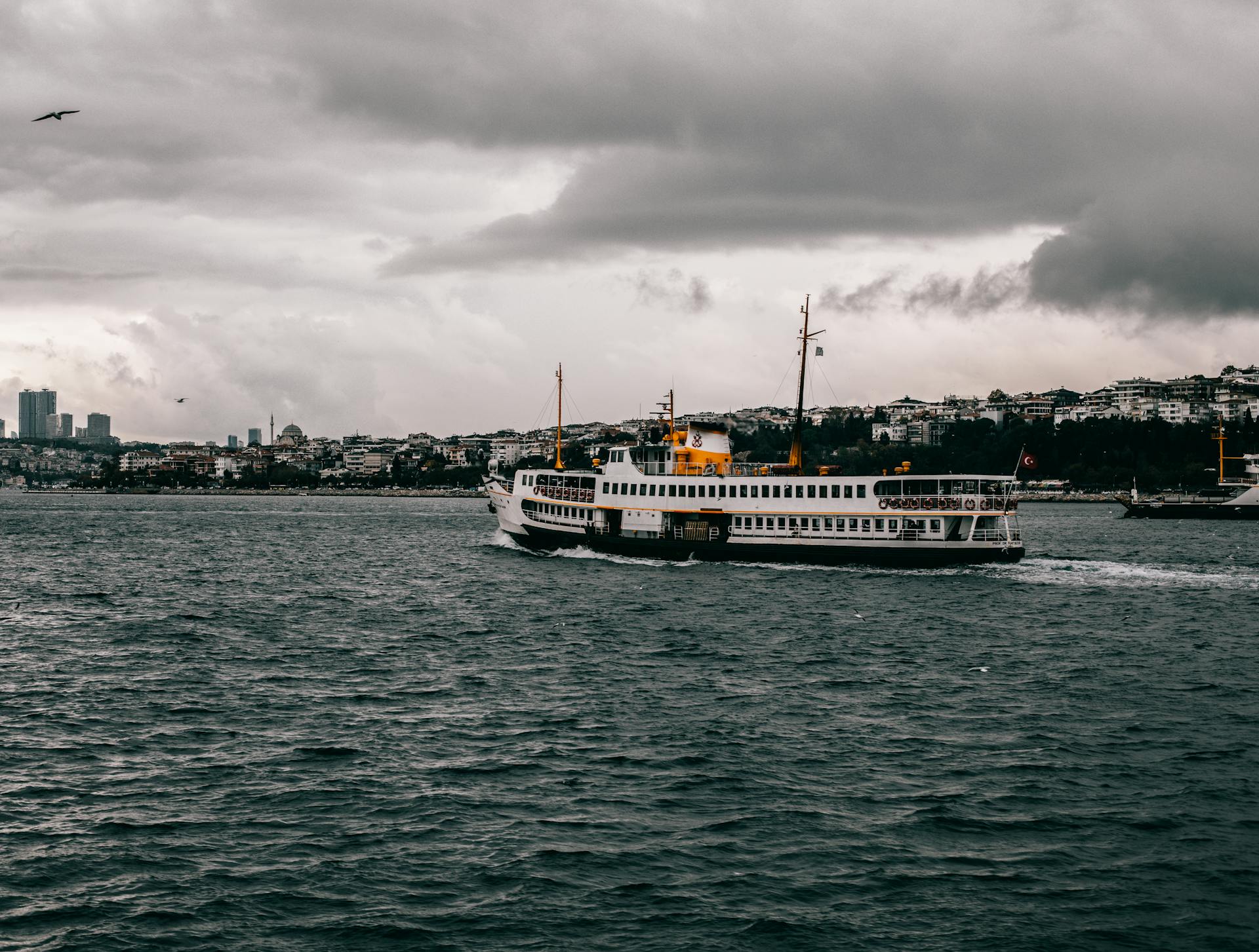 A ferry sails on the Bosphorus in Istanbul under a cloudy sky, showcasing urban and natural landscapes.