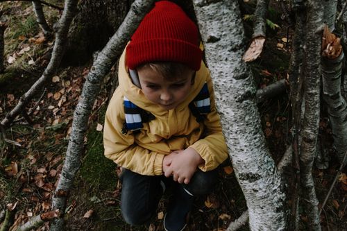 Free A child in a yellow jacket and red beanie sitting among tree branches in a fall forest. Stock Photo