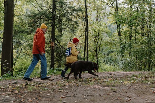 無料 オレンジ色のジャケットと青いデニムジーンズの男が森で黒いショートコートの犬と一緒に歩く 写真素材