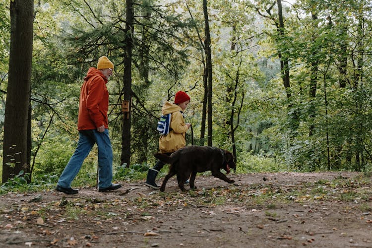 An Elderly Man Hiking In The Forest With His Grandson And Pet Dog