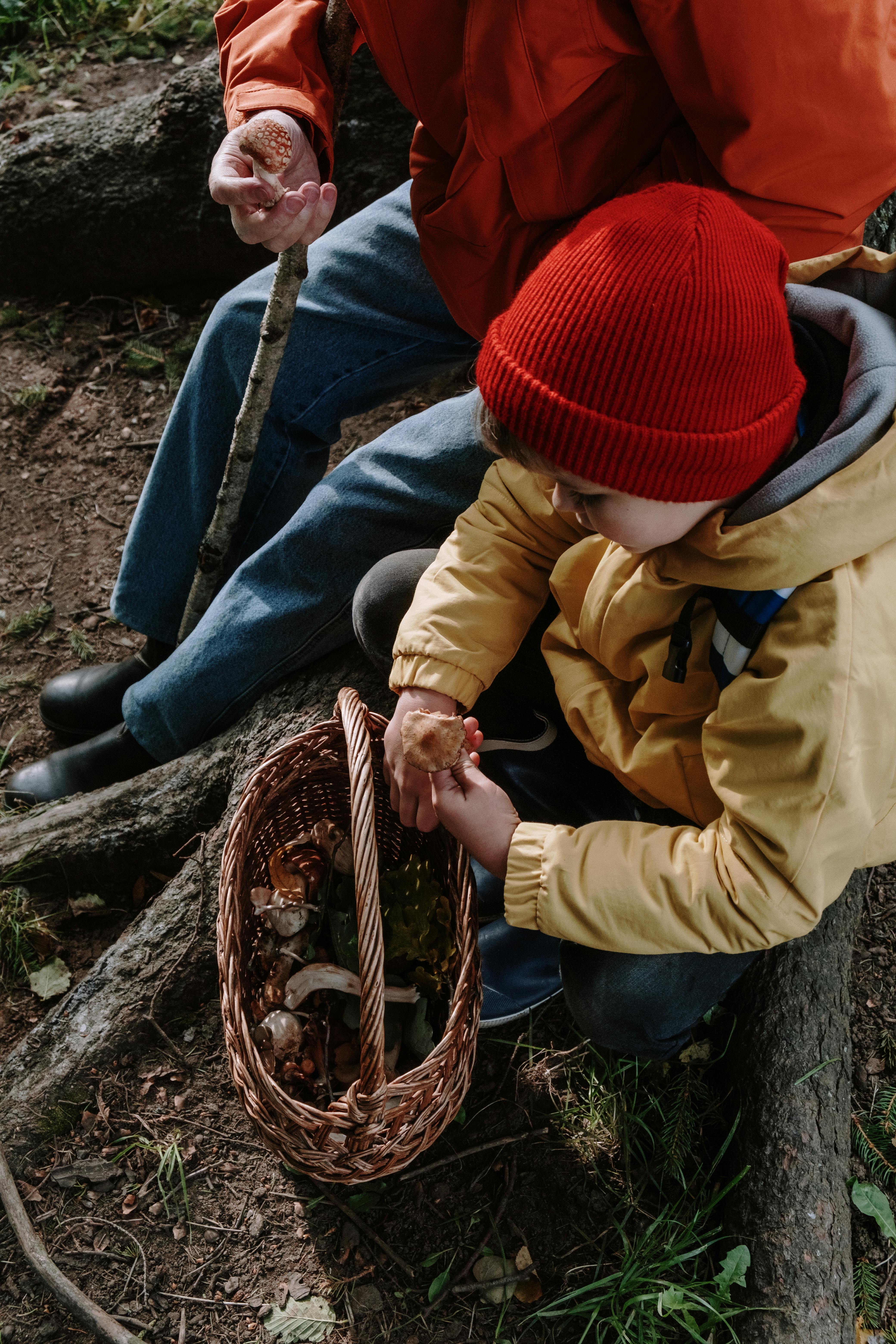 overhead shot of a boy holding a mushroom