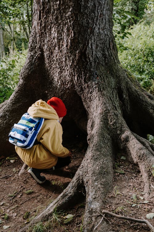 木の幹に座っている茶色のジャケットと赤いニット帽の人