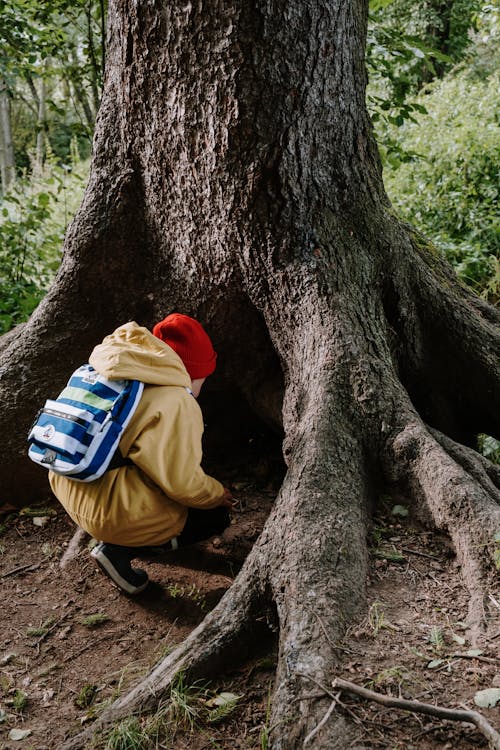 Persona En Chaqueta Marrón Y Gorro De Punto Rojo Sentado En El Tronco De Un árbol