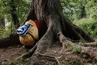 Person in Brown Jacket and Blue Denim Jeans Sitting on Brown Tree Trunk