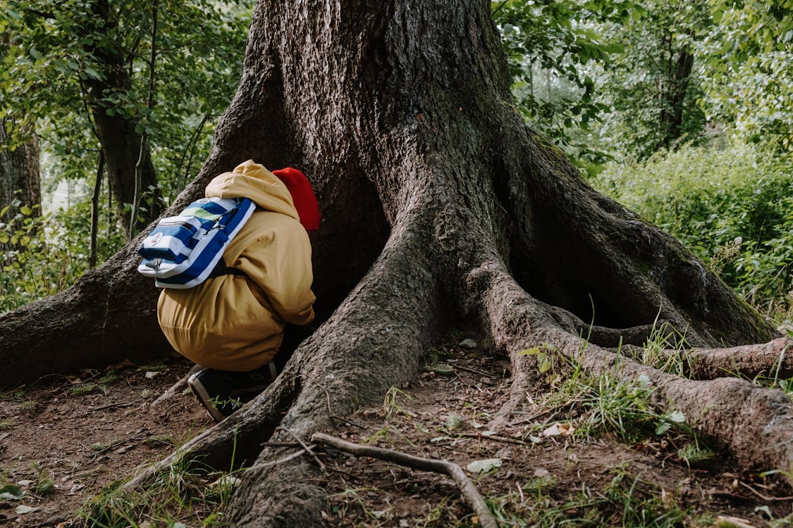 Free A Kid in Yellow Jacket Sitting Beside the Tree Trunk Stock Photo