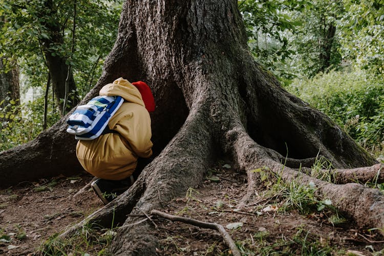 A Kid In Yellow Jacket Sitting Beside The Tree Trunk