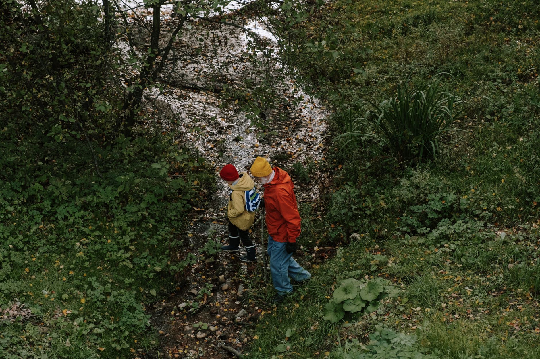 Nature Fest at Oakland Nature Preserve