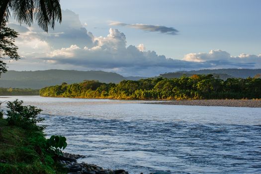 Green Trees Beside Body of Water Under Cloudy Sky