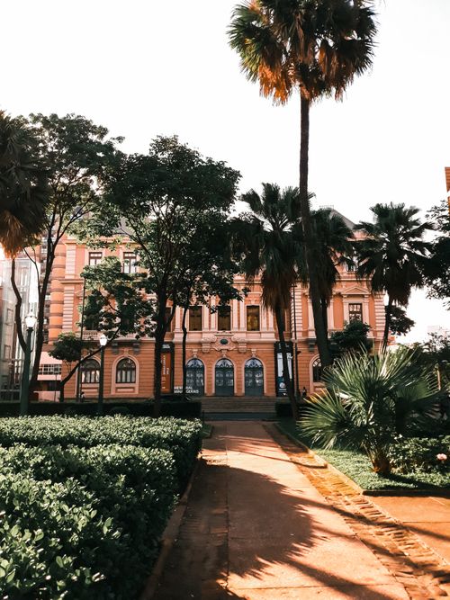 Free A beautiful historic facade surrounded by lush greenery and palm trees on a sunny day in an urban park. Stock Photo