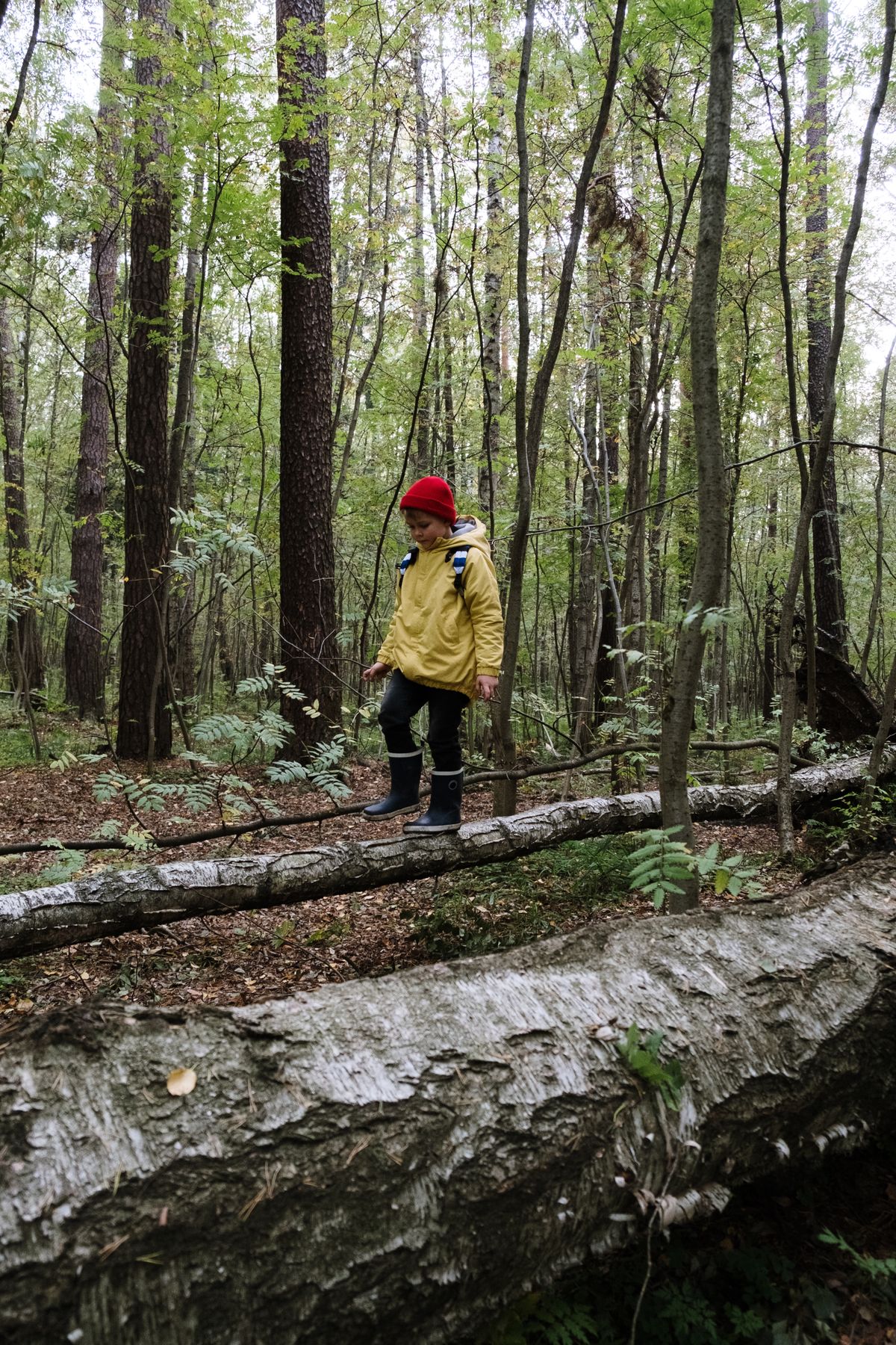 A child balancing carefully on a fallen log in the autumn forest