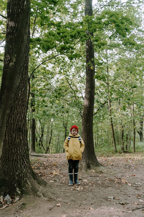 A Kid in the Forest 