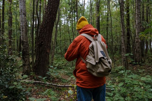 A person wearing an orange jacket and backpack exploring a lush green forest.