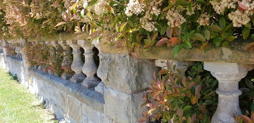 Free stock photo of beautiful, fence, garden