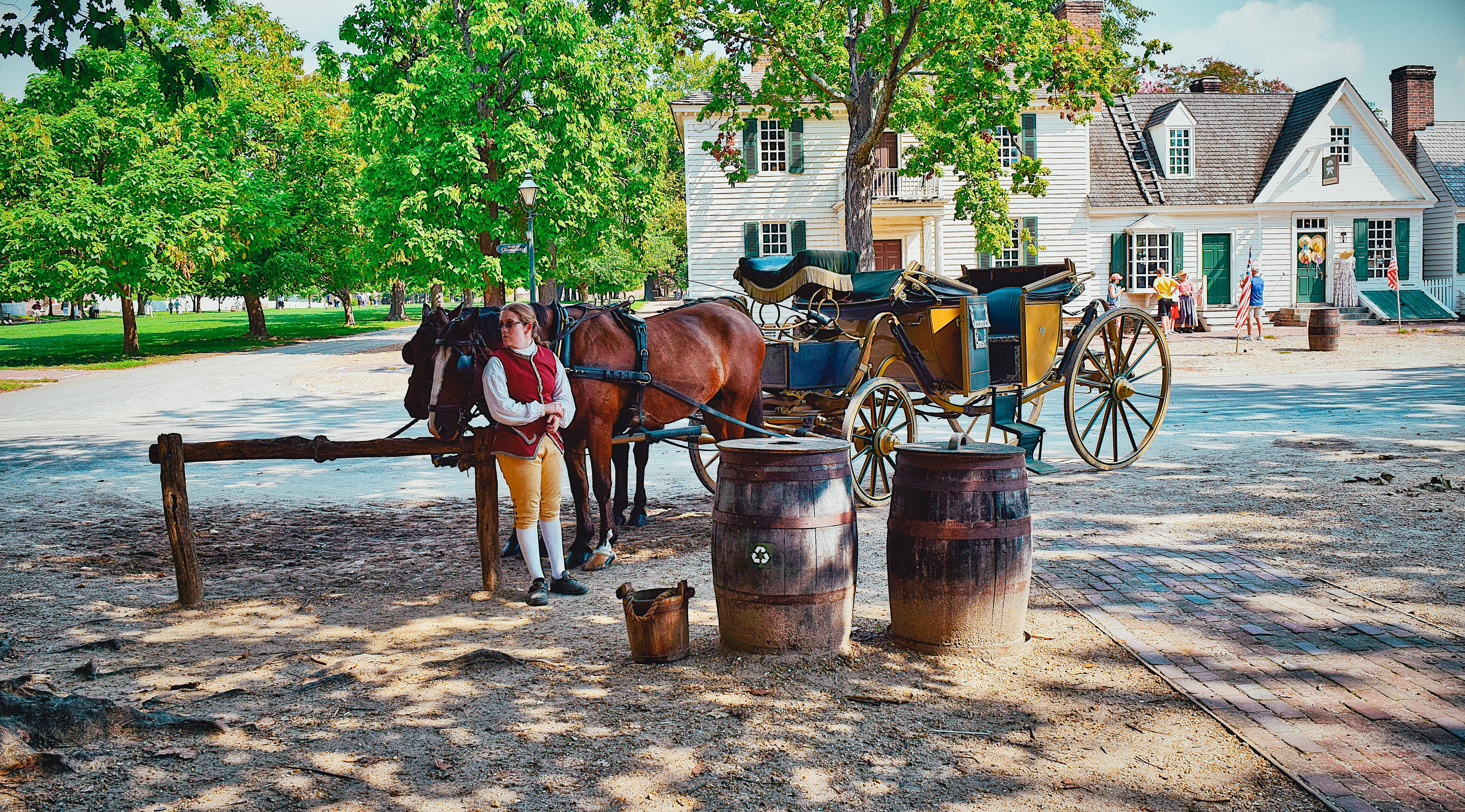 Free stock photo of carriage, colonial, horses