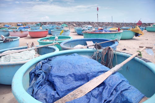 Many round fishing boats moored on sandy shore
