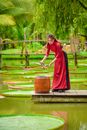Woman in Red Dress Standing Beside Water Fountain