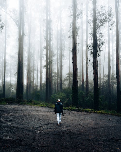 Základová fotografie zdarma na téma cestování, chůze, divočina