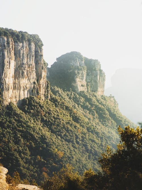 Foto profissional grátis de abismo, alcance, amplo