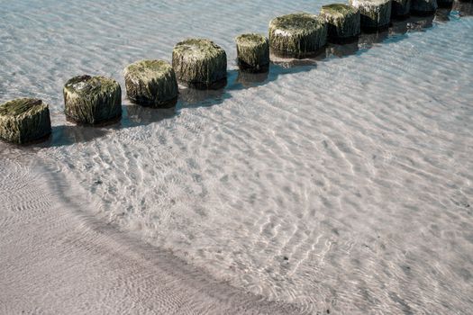 Sandy beach near sea with wooden logs