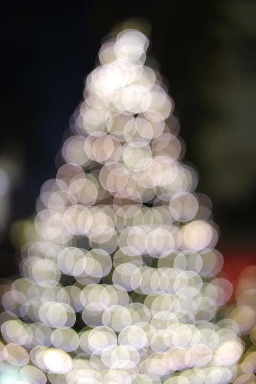 Defocused Lights on a Christmas Tree at Night 