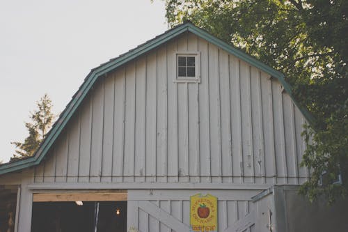 Free stock photo of barn, orchard