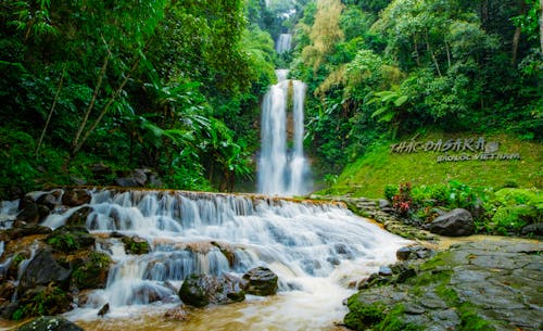 Scenic Waterfall in Lush Forest in Vietnam