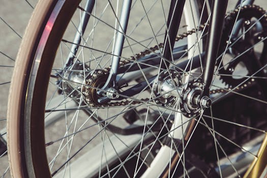 Detailed view of a bicycle's wheel, chain, and gears with sunlight reflection.