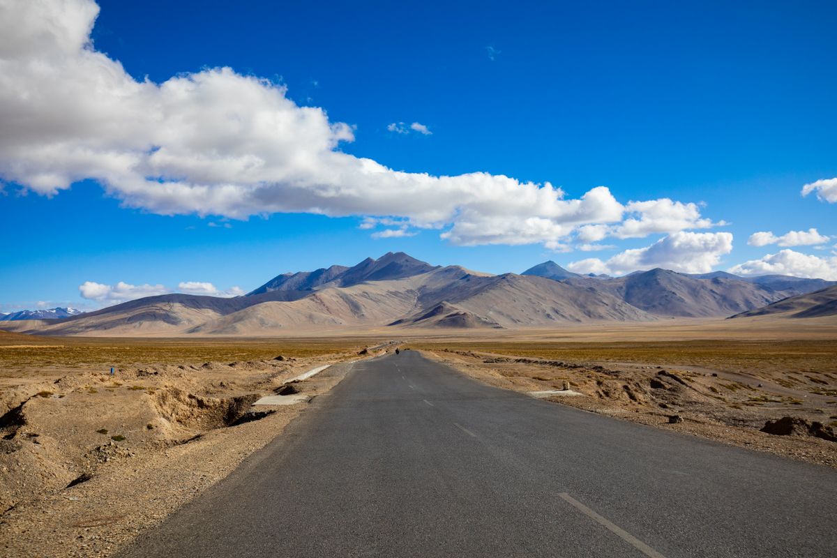 The Bulletin from 5,359 Metres: A Ladakh Road Trip in Four Elevations