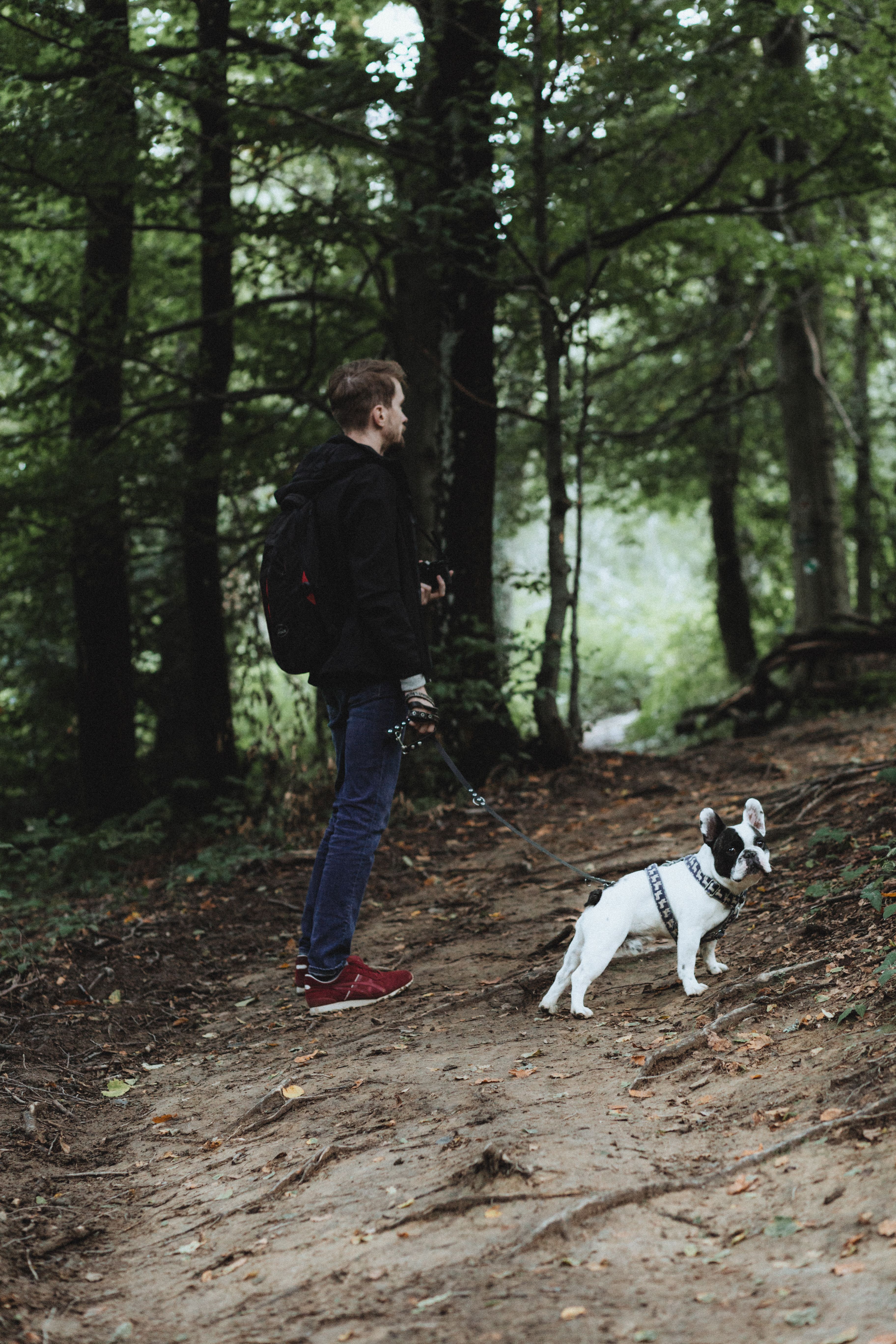 A Man With His Dog in the Forest · Free Stock Photo