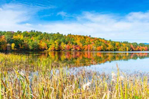 Lake during Autumn 