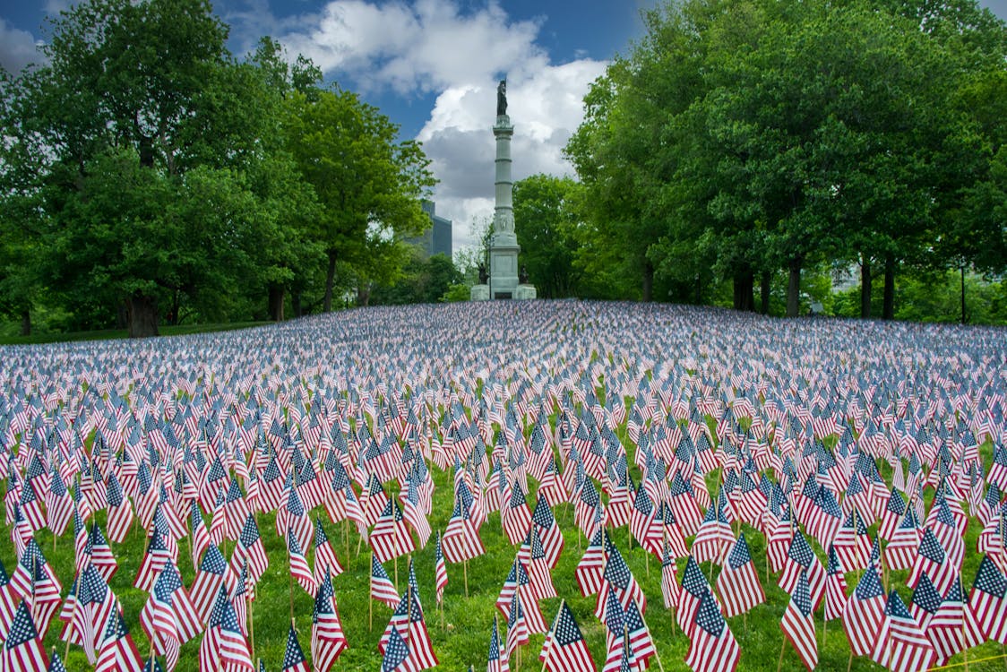 Free American Flags on Green Grass Field Stock Photo
