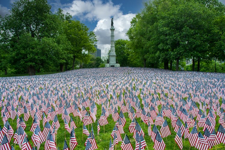 American Flags On Green Grass Field