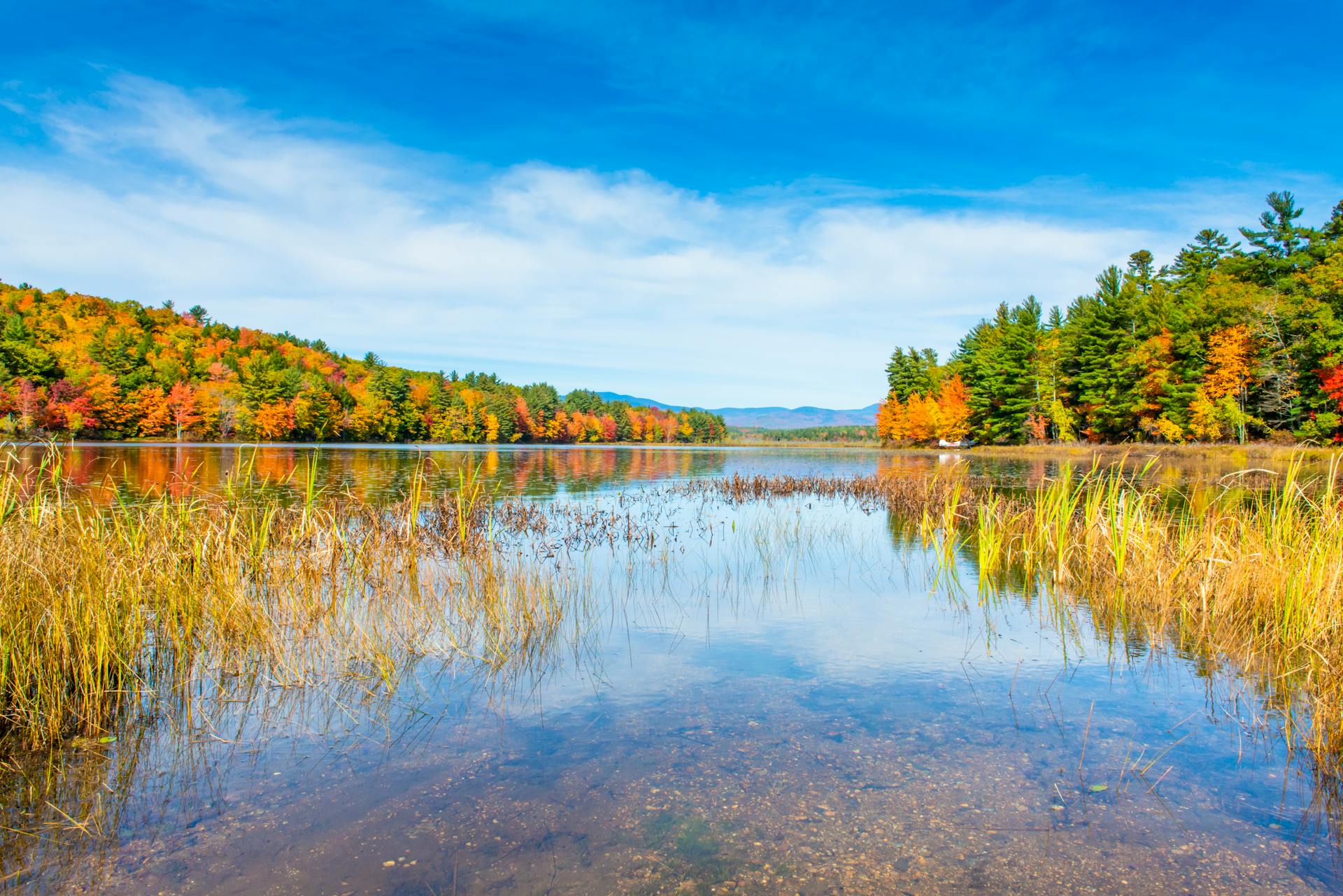 Beautiful lake in New Hampshire during autumn, reflecting colorful foliage under a bright blue sky.