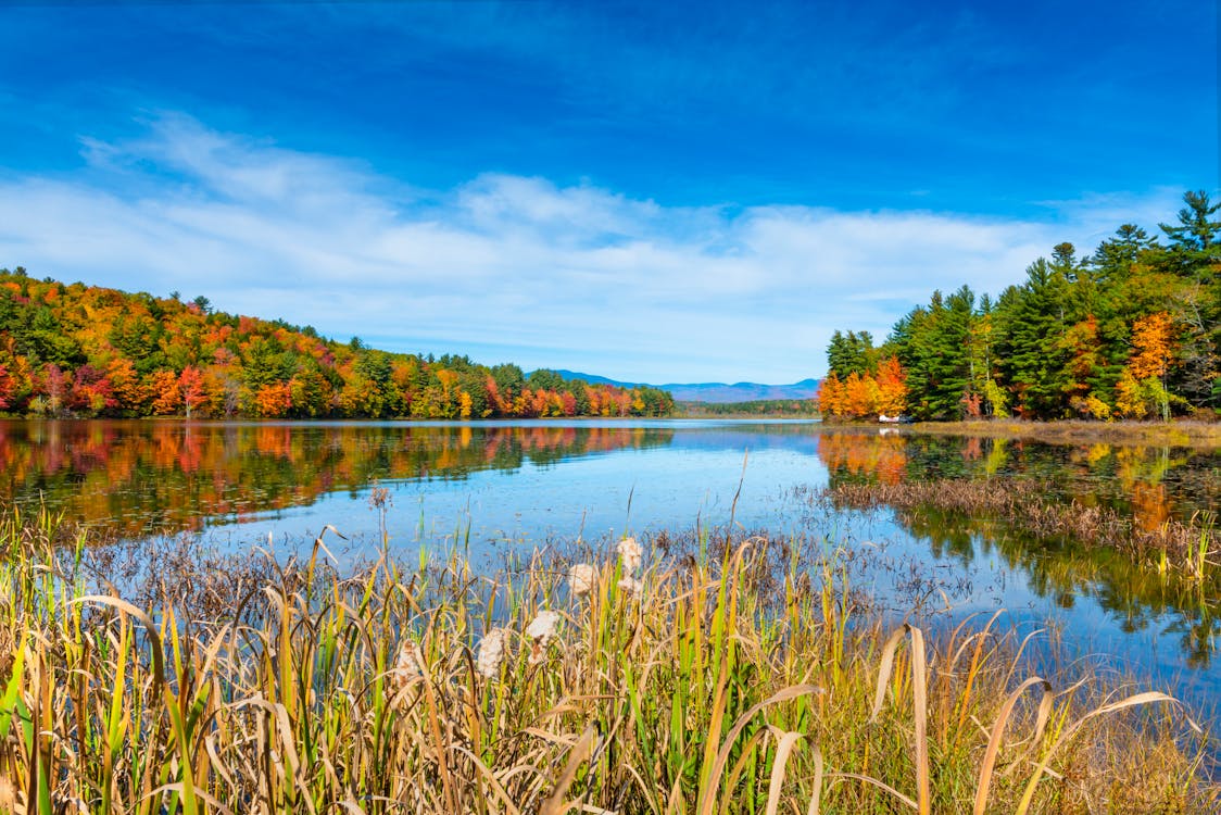Lake during Autumn · Free Stock Photo